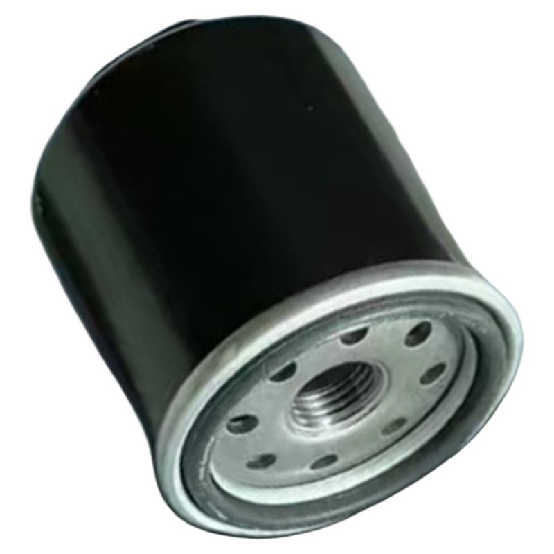 SHGO-320-400CC BS175MN-184MN : - Motorcycle Oil Filter avis et prix